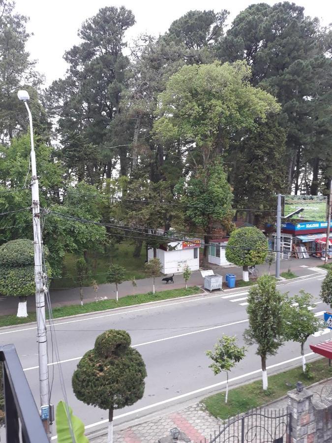 Magnolia Hotel Agmashenebeli 科布列季 外观 照片